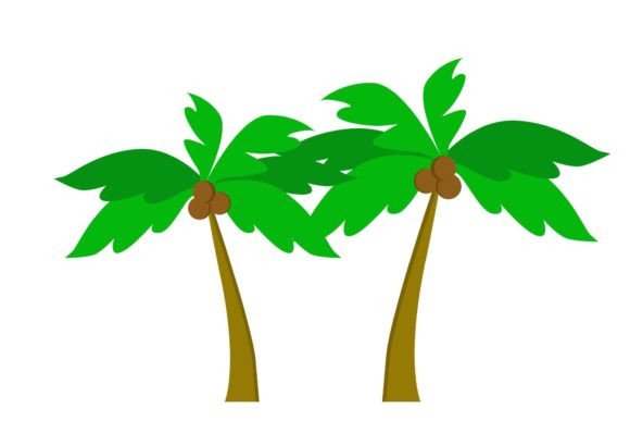 Download Coconut Trees - Coconut trees Collection